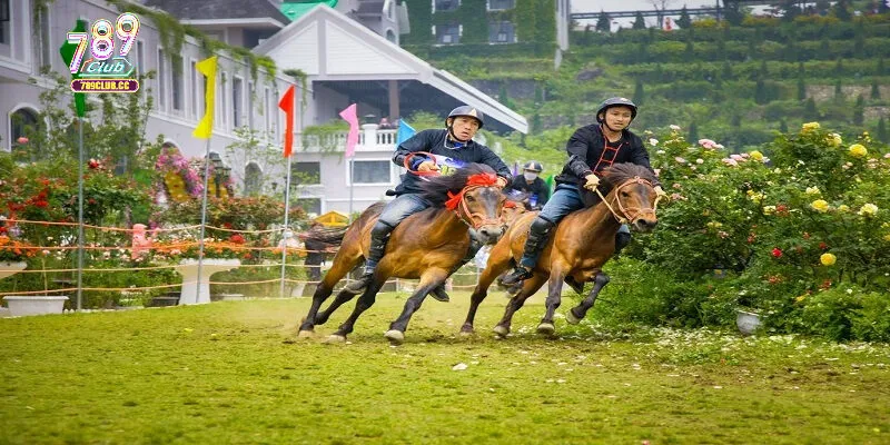 Tìm hiểu khái quát về đua ngựa Sapa cùng 789Club